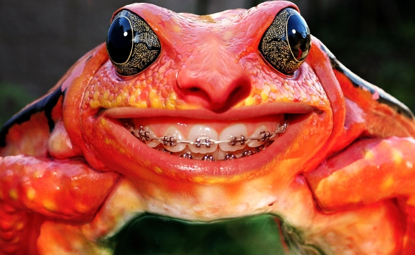 Creation of Smiling Frog: Step 11